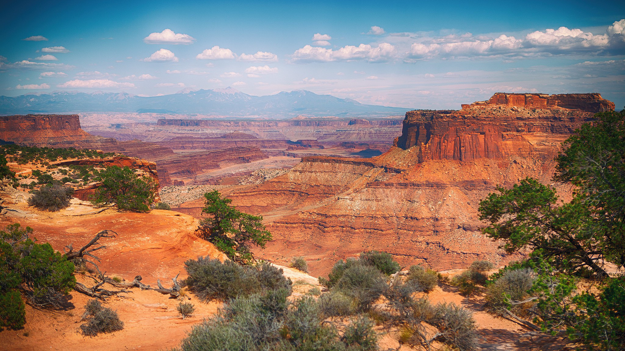 Canyonlands by Mr. Nixter