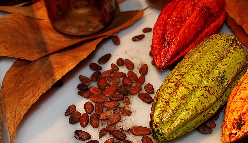 Cocoa Pods and Beans